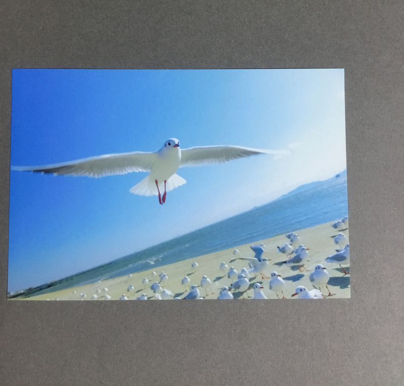 f:id:sungen:20190630151719j:plain f:id:sungen:20190630151719j:plain