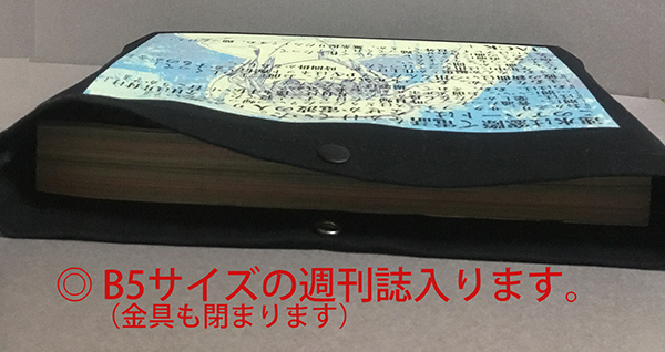 f:id:sungen:20200219192502j:plain