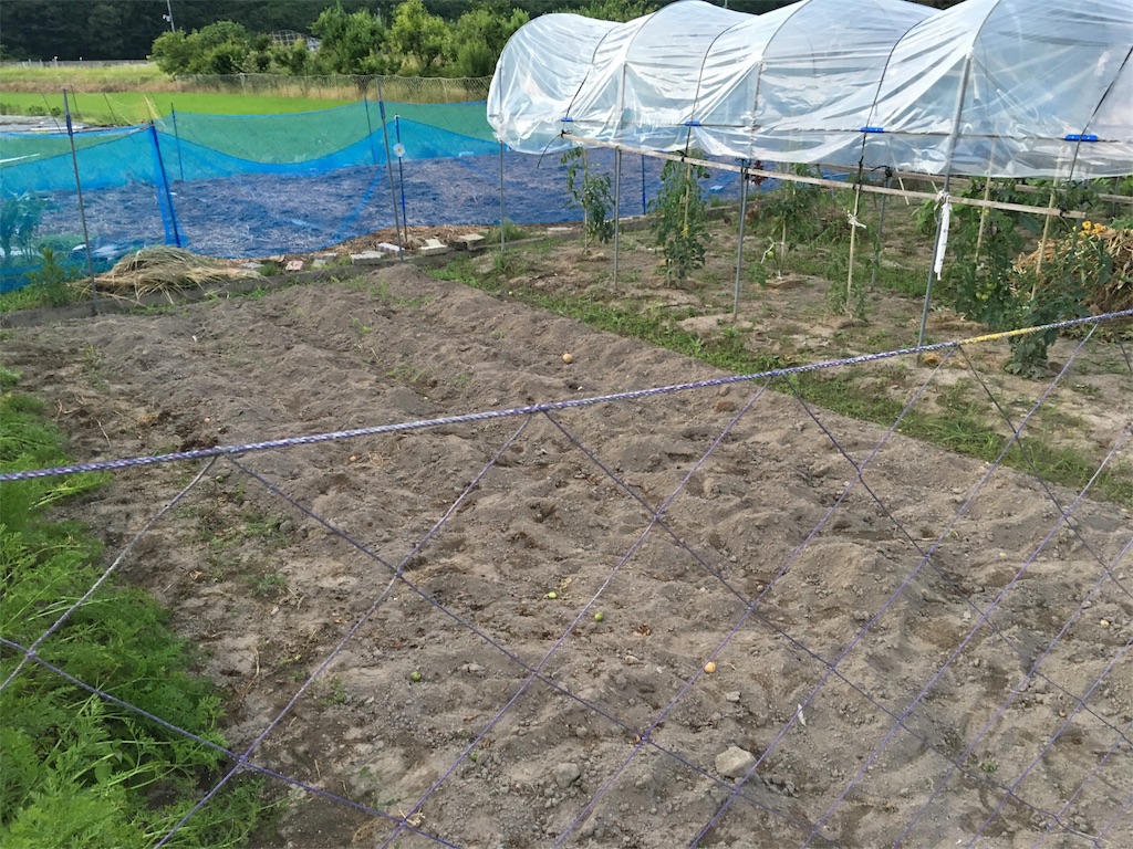 f:id:sunkisuto:20180821205022j:image