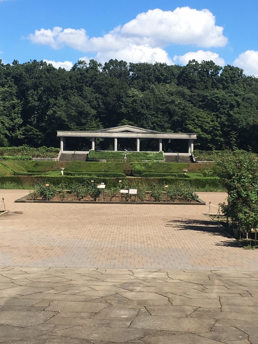 バラ園