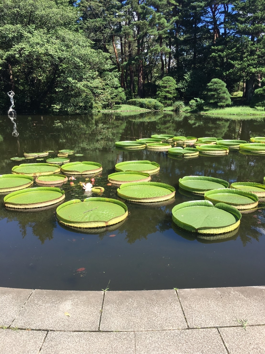通り道
