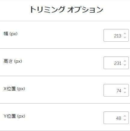 切り抜き範囲を直接指定