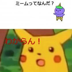 ミーム