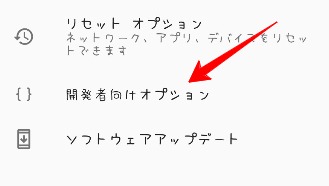 開発者向けオプション