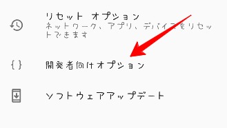 開発者向けオプション