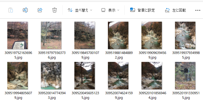 復元したファイル