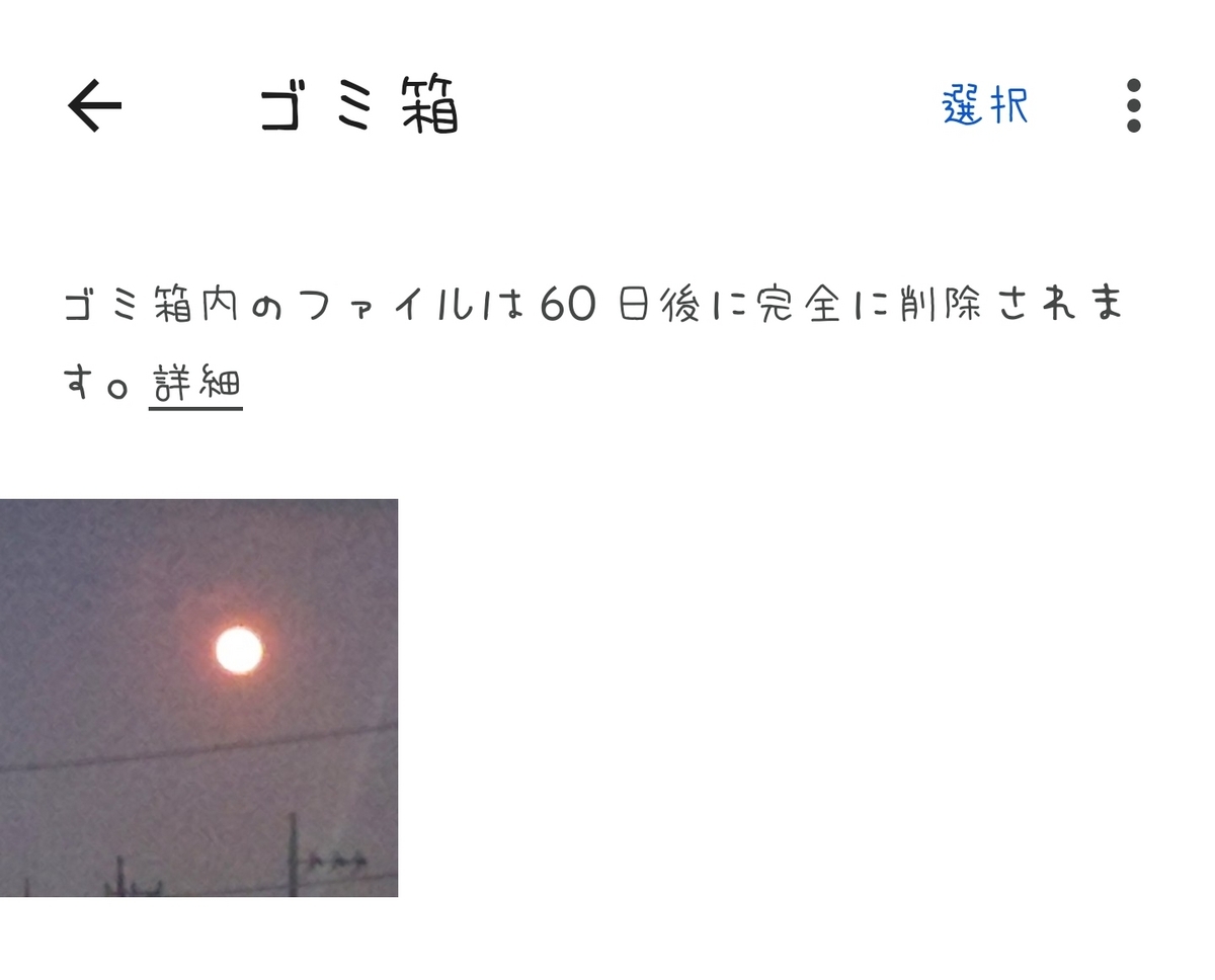 ゴミ箱の中