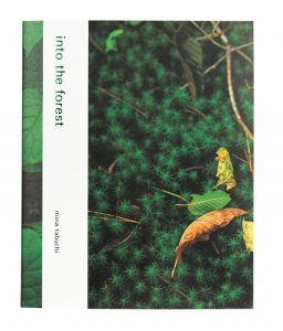 mina tabuchi / into the forest / 田淵三菜 写真 田淵三菜 into the forest 田淵三菜の写真集。第2回入江泰吉記念