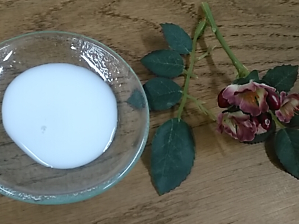 f:id:sunny-time:20190930003452p:plain f:id:sunny-time:20190930003452p:plain