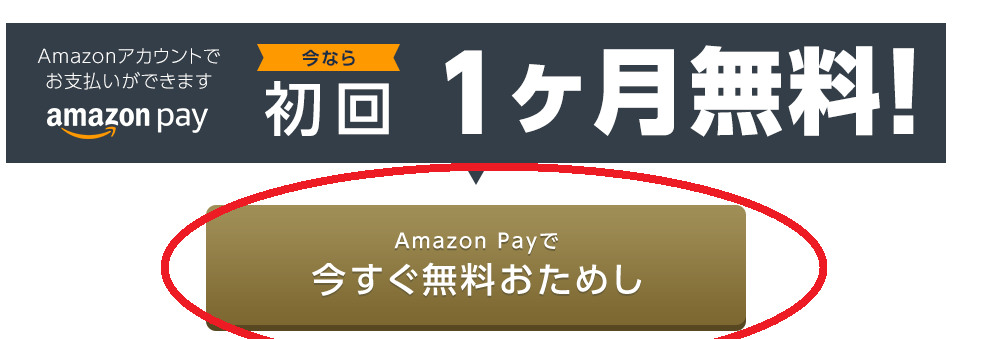 f:id:sunny551:20190228203457p:plain f:id:sunny551:20190228203457p:plain