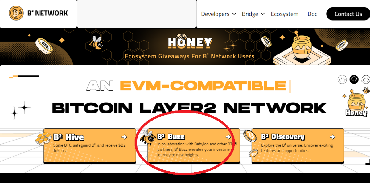 B2 Buzzキャンペーン