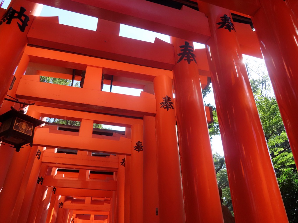 f:id:sunnyflowers:20251101154142j:image