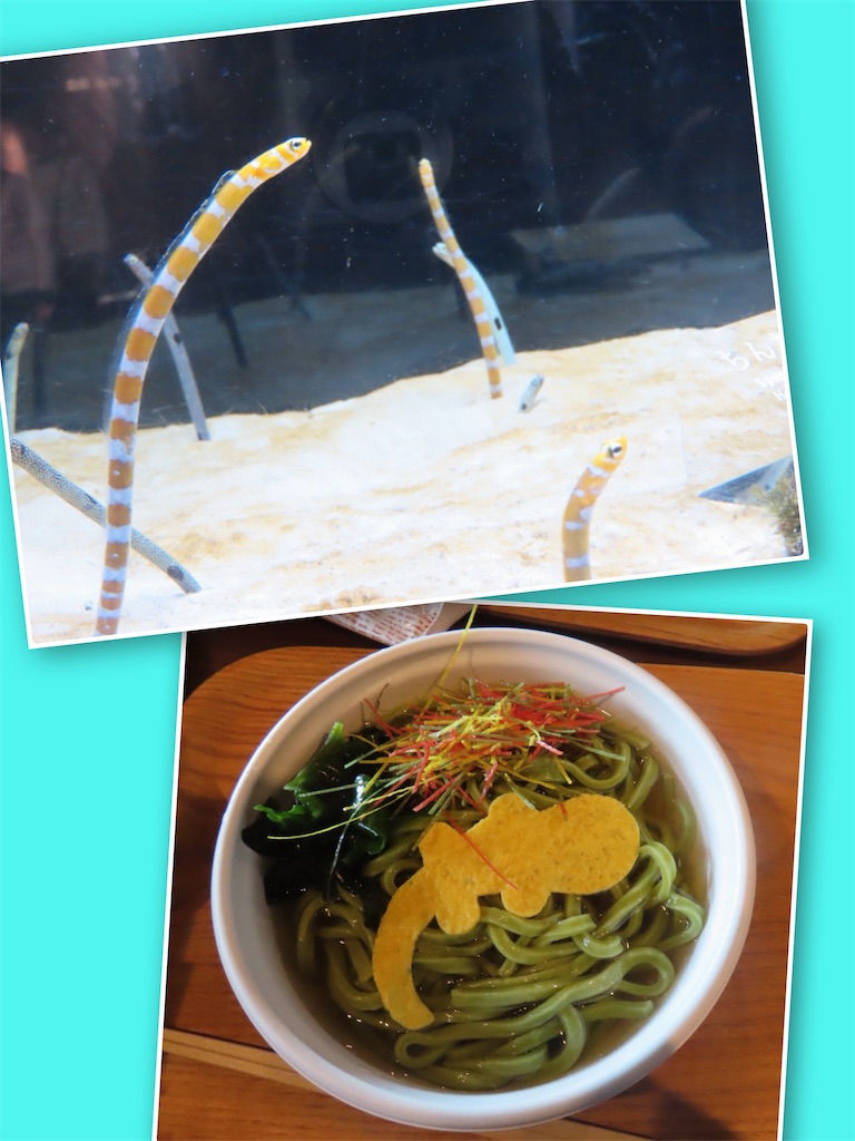 f:id:sunnyflowers:20251101154341j:image