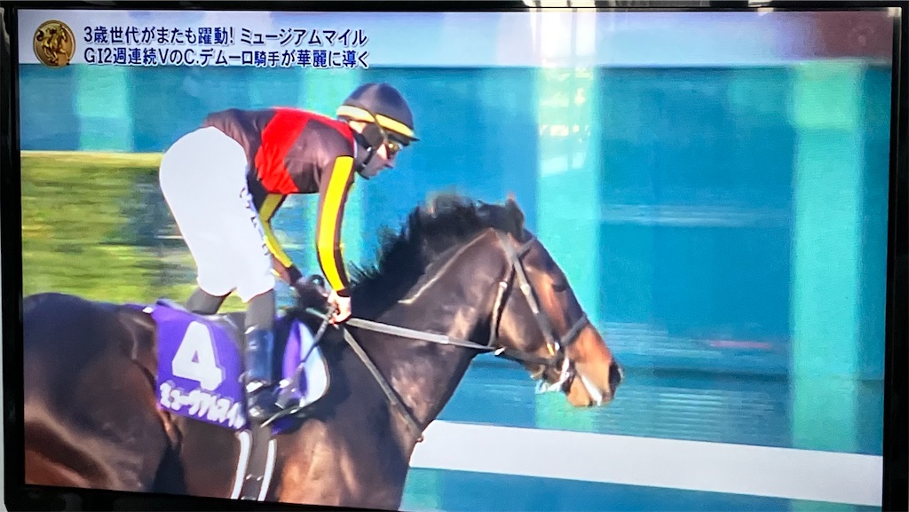 f:id:sunnyflowers:20260103164423j:image