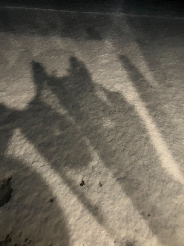 f:id:sunnyflowers:20260103165444j:image