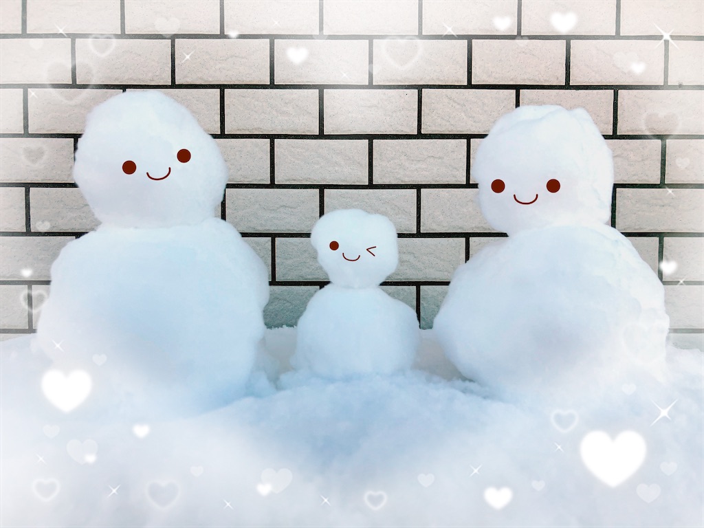 f:id:sunnyflowers:20260103165534j:image