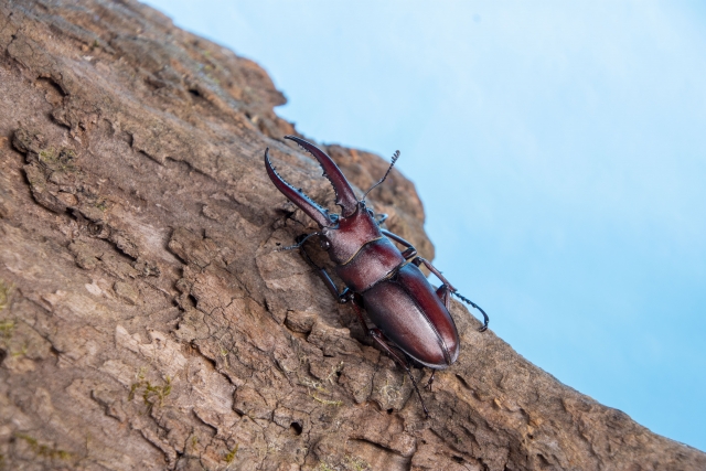 f:id:sunnyweather:20210826172635j:plain