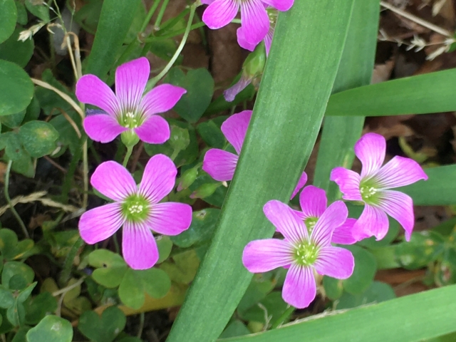 f:id:sunnyweather:20210826173050j:plain