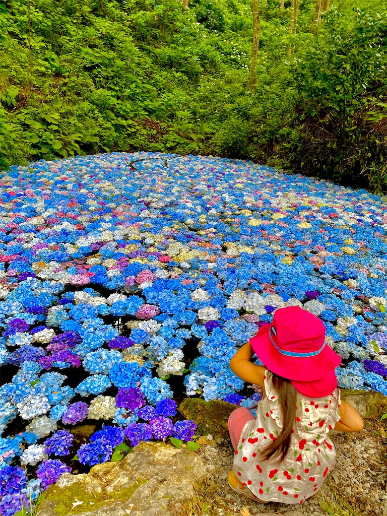 f:id:suno200002000:20210722145426j:image