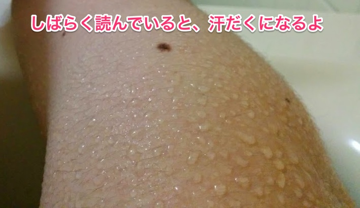f:id:sunooo:20140817231330j:plain