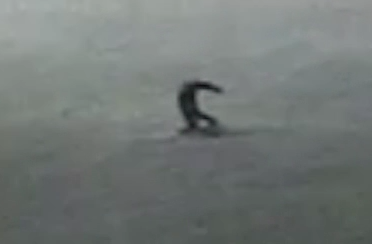 f:id:sunooo:20160207142639p:plain