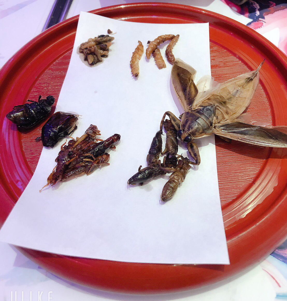 f:id:sunorsa1155:20200321212531j:plain f:id:sunorsa1155:20200321212531j:plain