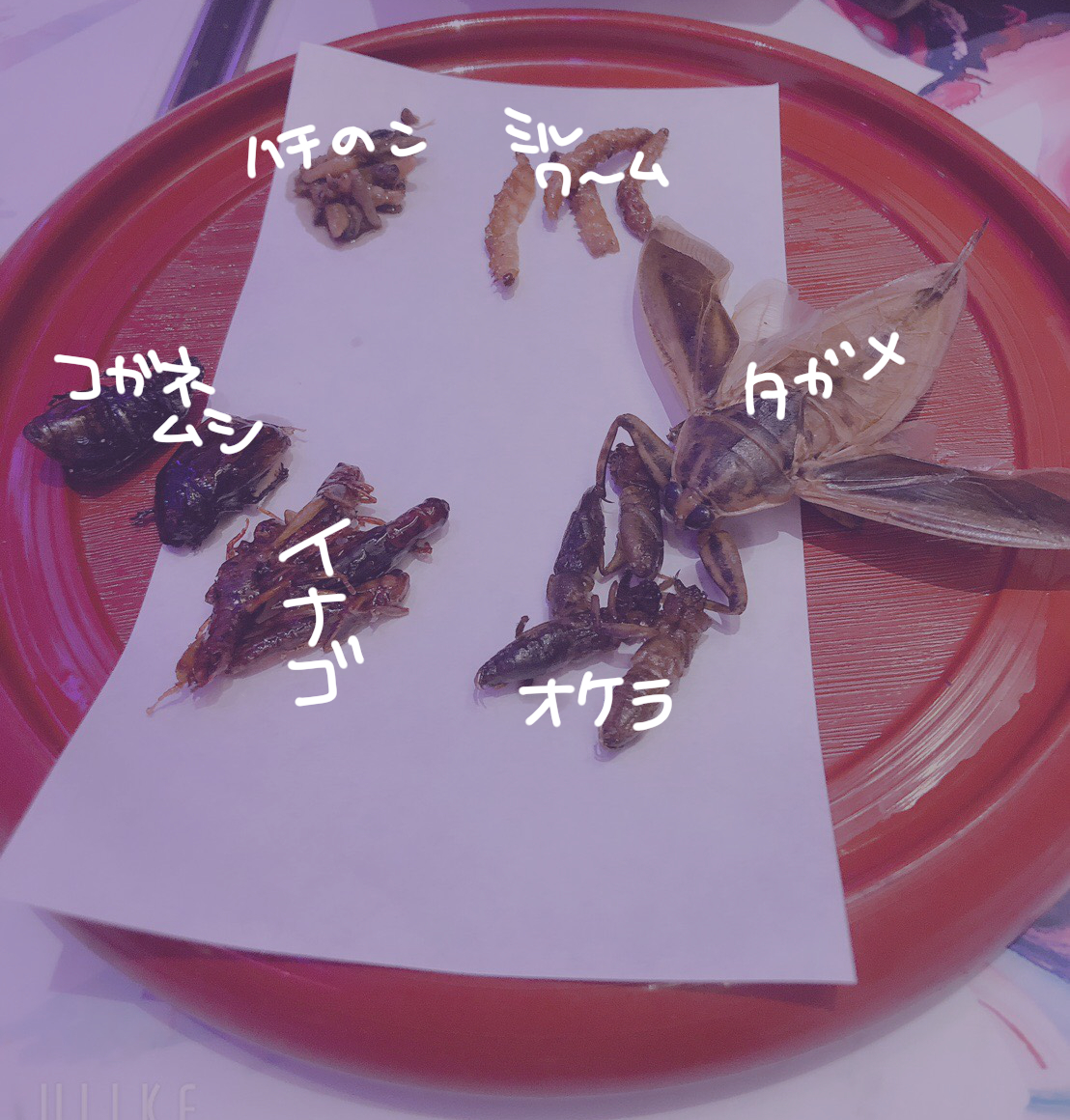 f:id:sunorsa1155:20200321212602j:plain f:id:sunorsa1155:20200321212602j:plain