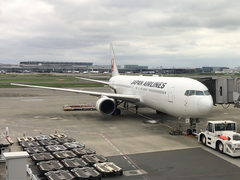 搭乗記vol.68 JAL555便 羽田→旭川(元国際線機材A28仕様) - 白ちゃんの