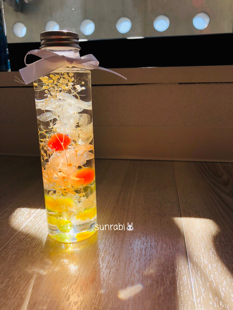 f:id:sunrabi_a:20181203125311j:plain