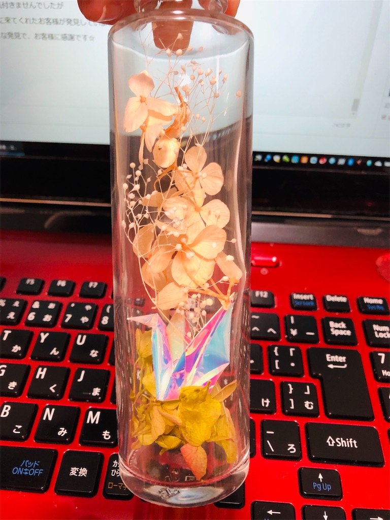 f:id:sunrabi_a:20190114191314j:image