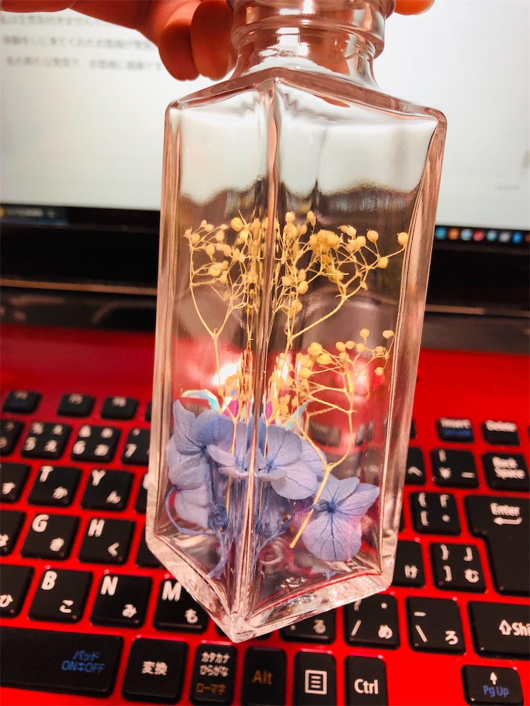 f:id:sunrabi_a:20190114191325j:image