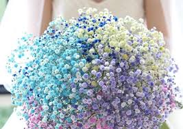 f:id:sunrabi_a:20190116141241j:plain