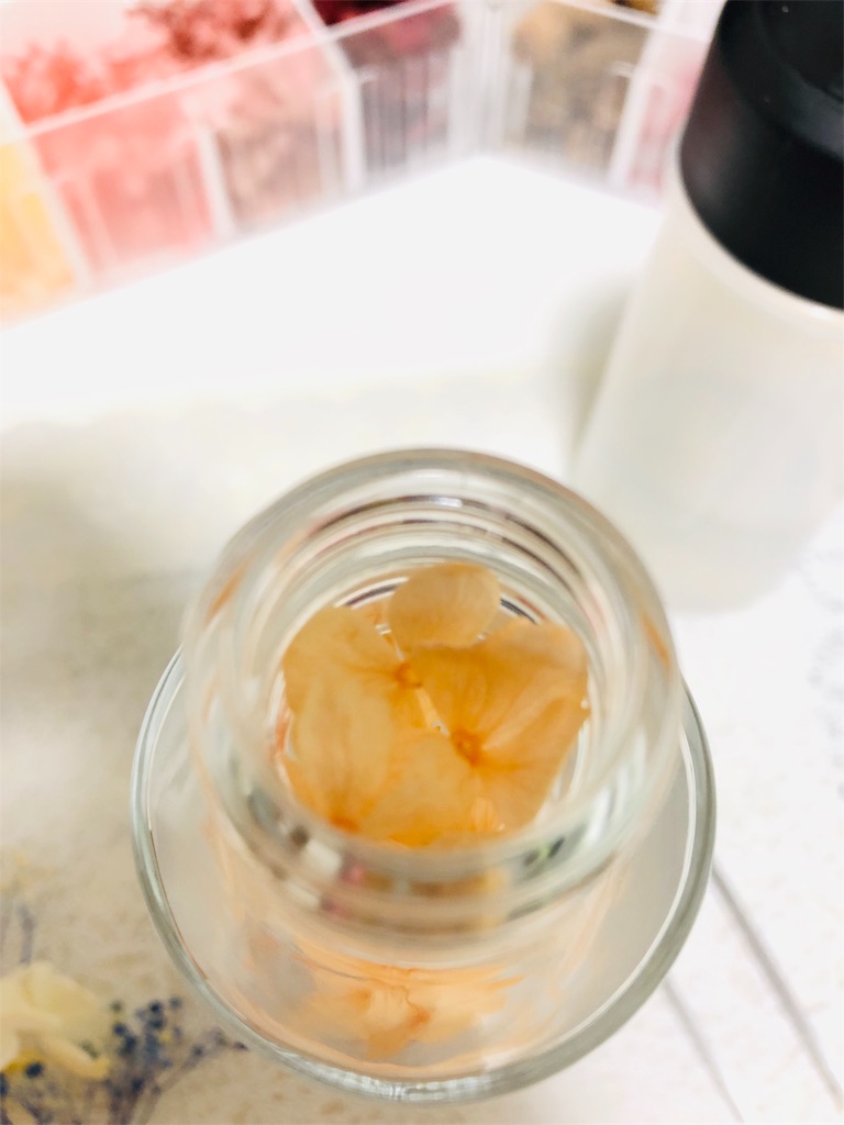 f:id:sunrabi_a:20190120232707j:image