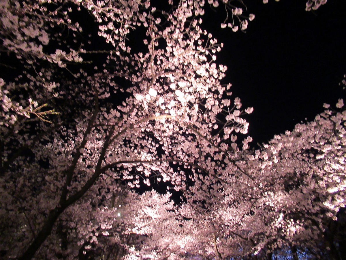 f:id:sunrise169:20220417020406j:plain