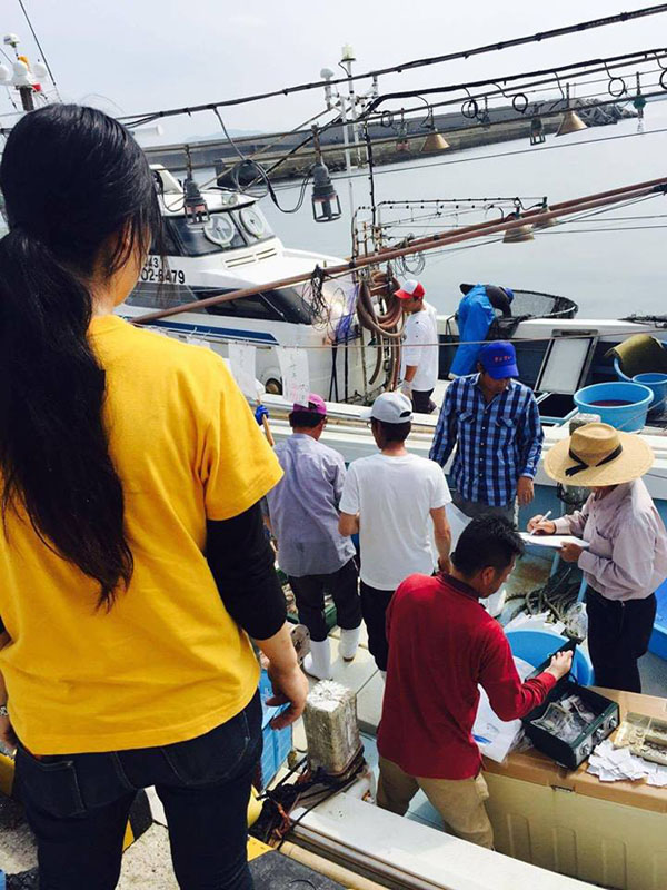 f:id:sunrise_chop_matono:20160627231739j:plain f:id:sunrise_chop_matono:20160627231739j:plain
