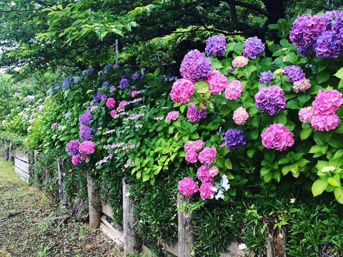 f:id:sunrise_chop_matono:20160627231829j:plain f:id:sunrise_chop_matono:20160627231829j:plain