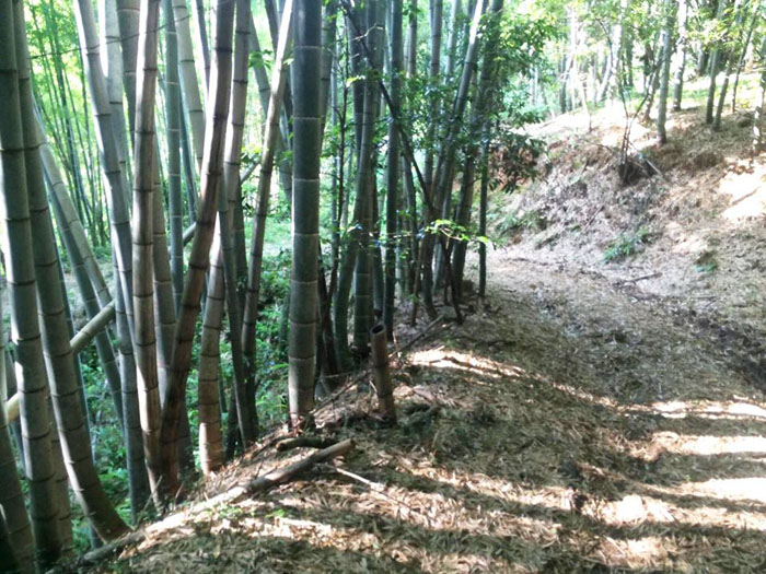 f:id:sunrise_chop_matono:20160628000710j:plain f:id:sunrise_chop_matono:20160628000710j:plain