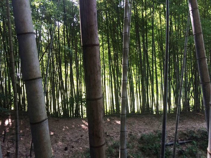 f:id:sunrise_chop_matono:20160628000723j:plain f:id:sunrise_chop_matono:20160628000723j:plain