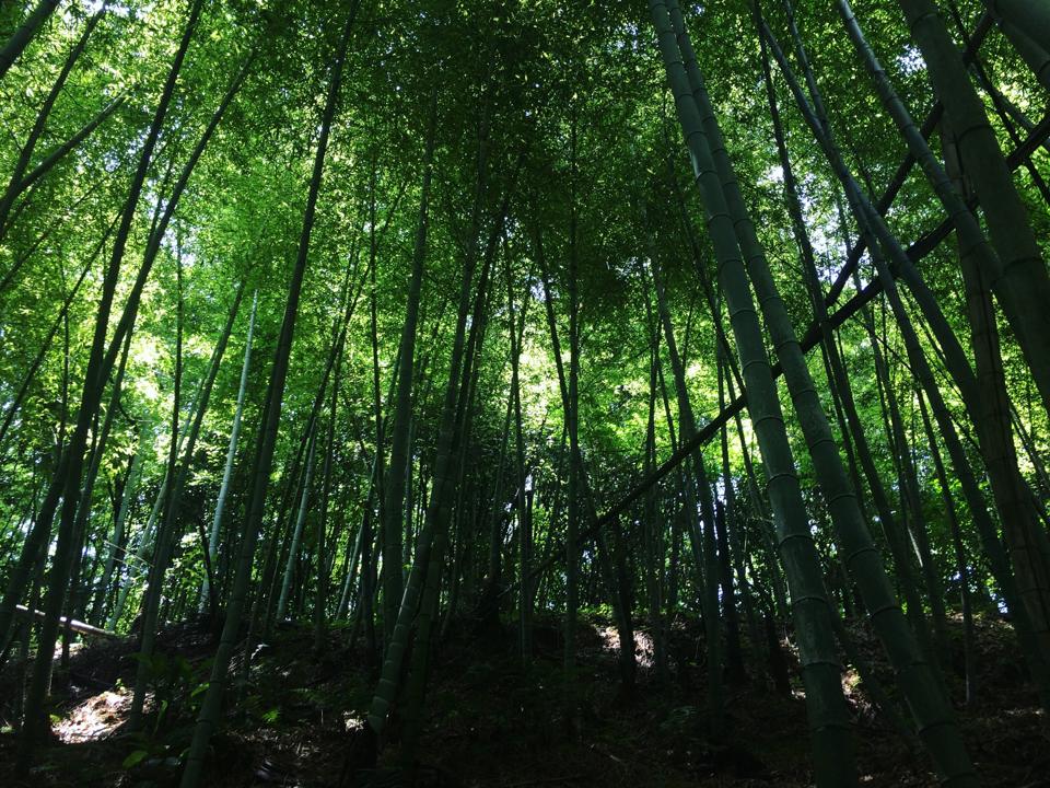 f:id:sunrise_chop_matono:20160721015420j:plain f:id:sunrise_chop_matono:20160721015420j:plain