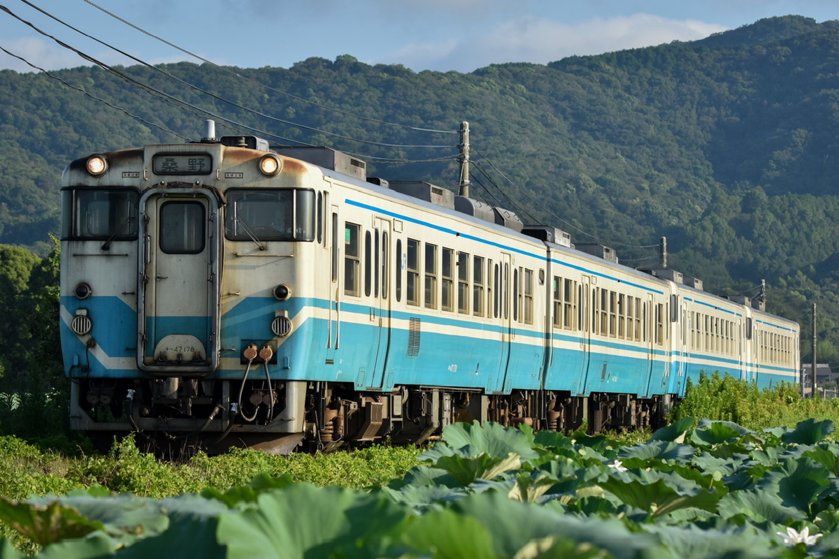 2024年 お盆高徳線遠征その7 池谷ストレートで増結キハを狙う