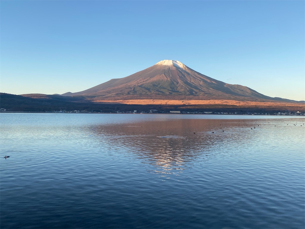 f:id:sunriseacademy2020:20210105131256j:image