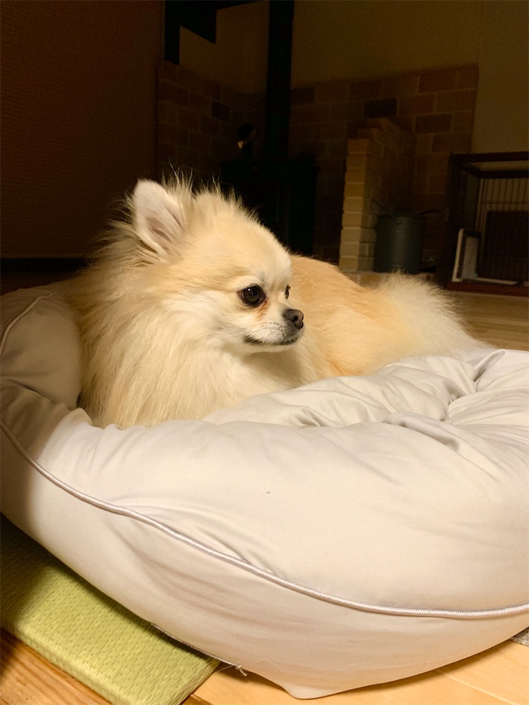 f:id:sunsdad831:20200226203059j:image f:id:sunsdad831:20200226203059j:image