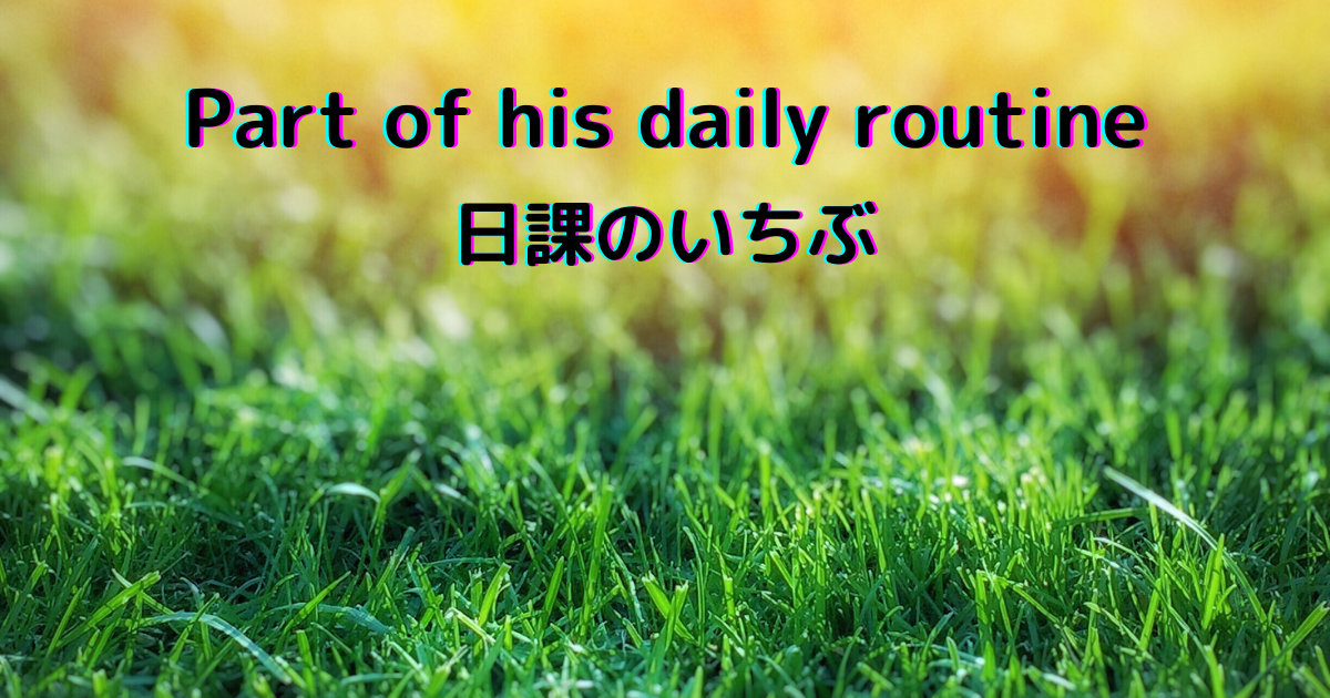 f:id:sunshine-light:20211221154719p:plain