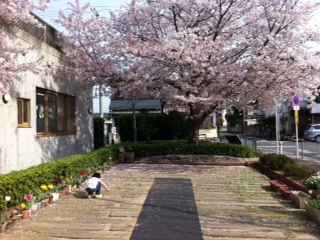 f:id:sunshinesboys:20130406063748j:image:w360
