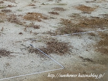 f:id:sunshowerstar:20161116182518j:plain f:id:sunshowerstar:20161116182518j:plain