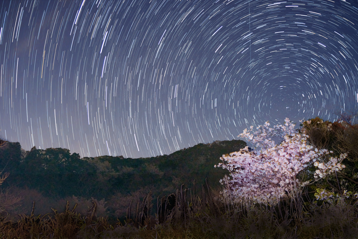 f:id:sunsun_fine:20190501172130j:plain