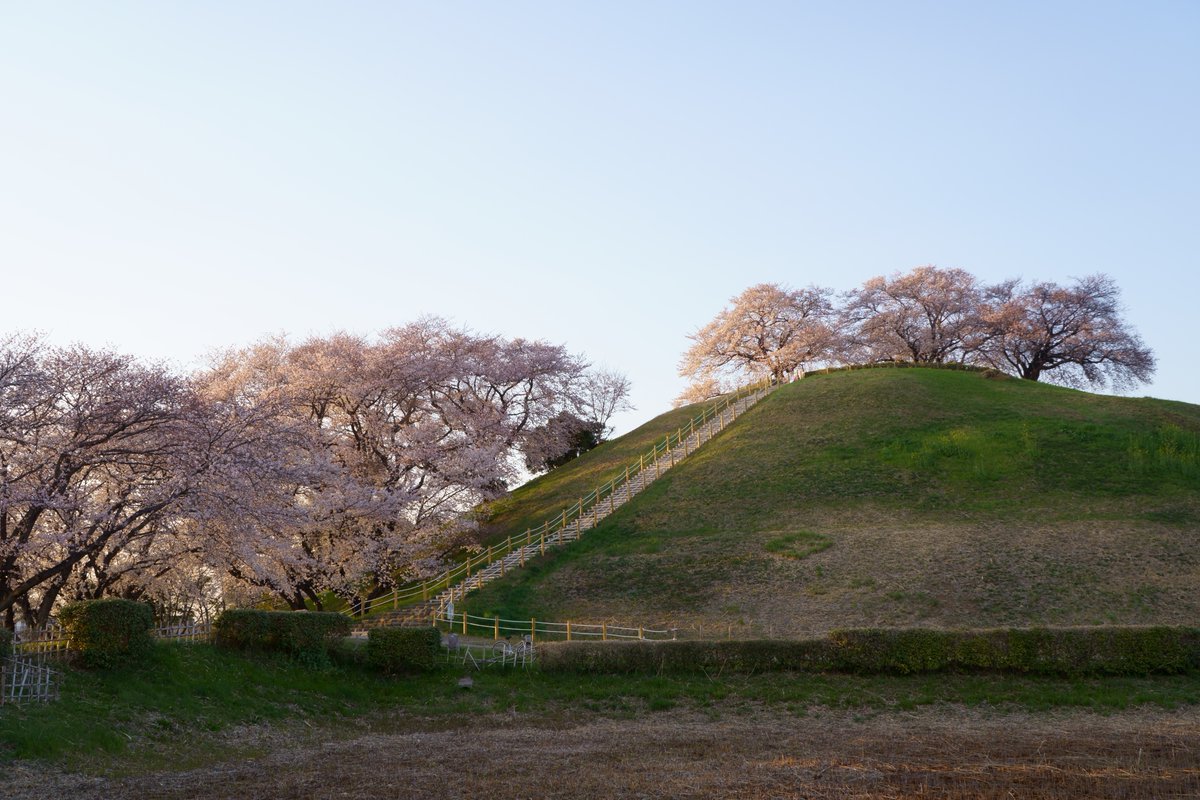 さきたま古墳公園