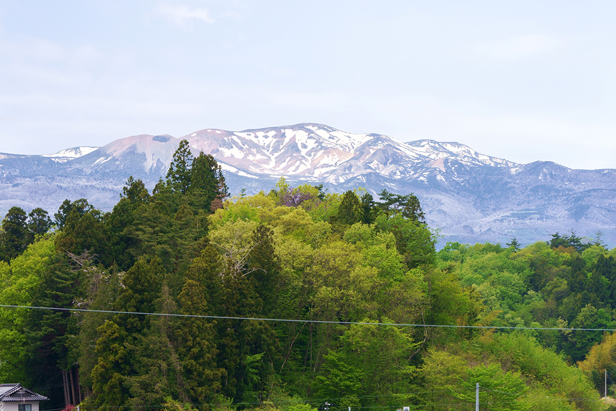 f:id:sunsun_fine:20190512102511j:plain f:id:sunsun_fine:20190512102511j:plain