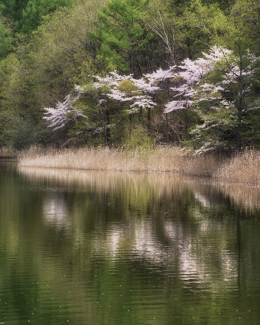 f:id:sunsun_fine:20190514205830j:plain