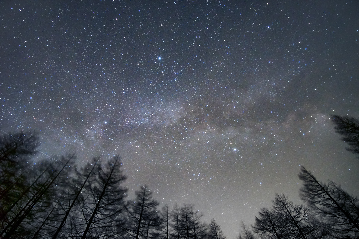 f:id:sunsun_fine:20190514213400j:plain